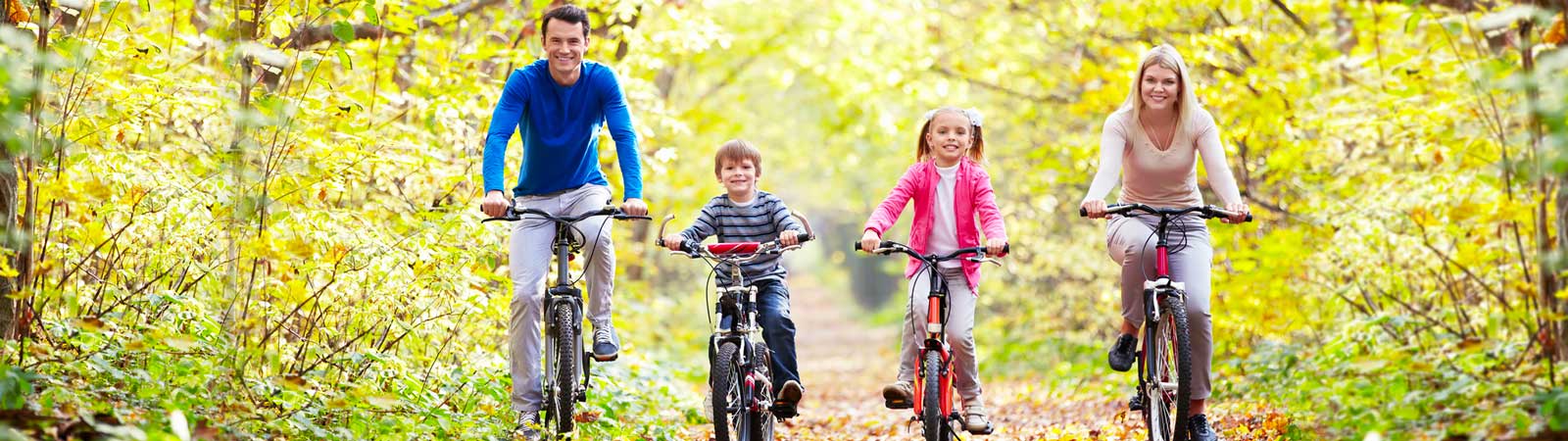 La Sologne vous propose de nombreuses balades et randonnées à découvrir en famille ou entre amis !