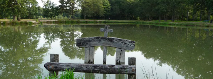 Festival des étangs - Exposition et visite guidée autour d'un étang