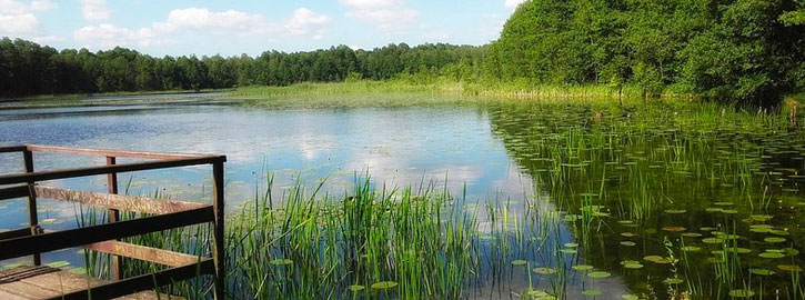 Festival des étangs - Souesmes