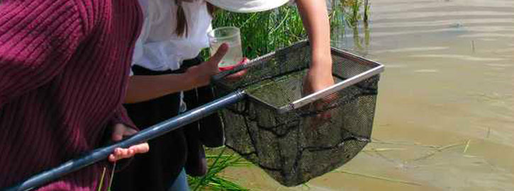 Instant nature - Pêche des p’tites bêtes de l’eau