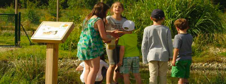 La Maison de la Chasse et de la Nature vous ouvre les portes du parc pédagogique « De plumes & d’eau »