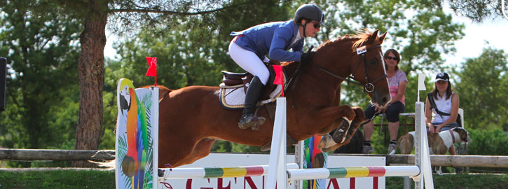Sologn' Pony