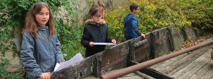 Animation stage nature avec la Maison de la Loire