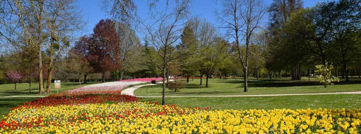 Jardin des Tulipes, Château de Cheverny